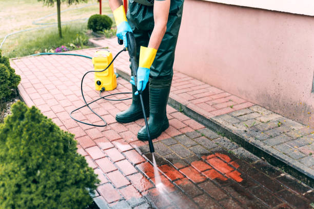 Animal Enclosure Cleaning in Maricopa, CA